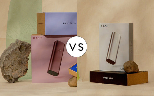 PAX Plus vs PAX Mini Vaporizer