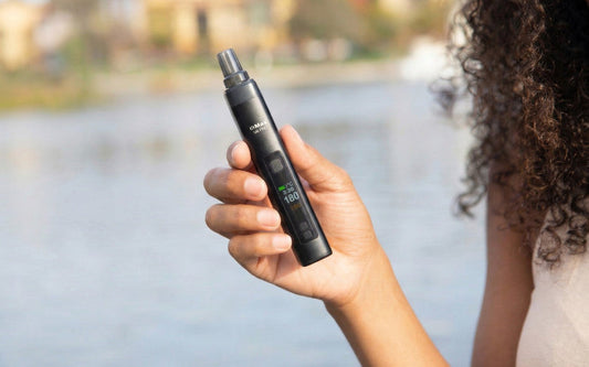 XMAX V4 Pro Vaporizer Review