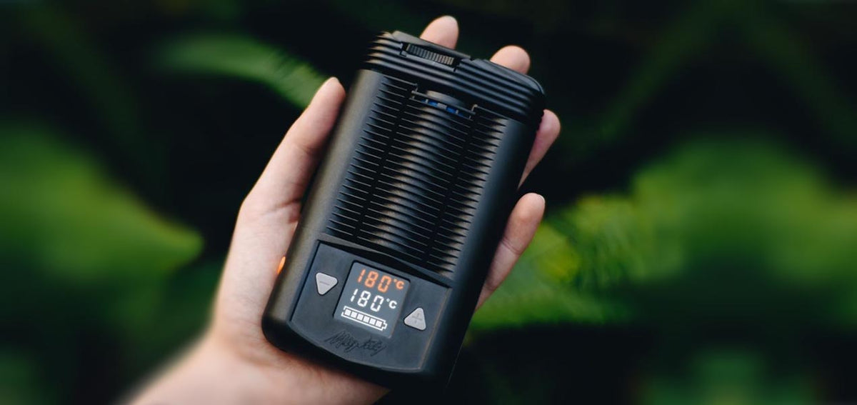 storz and bickel tragbarer Vaporizer Deutschland