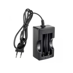 Arizer Air ArGo Dual Battery Charger EU Ireland