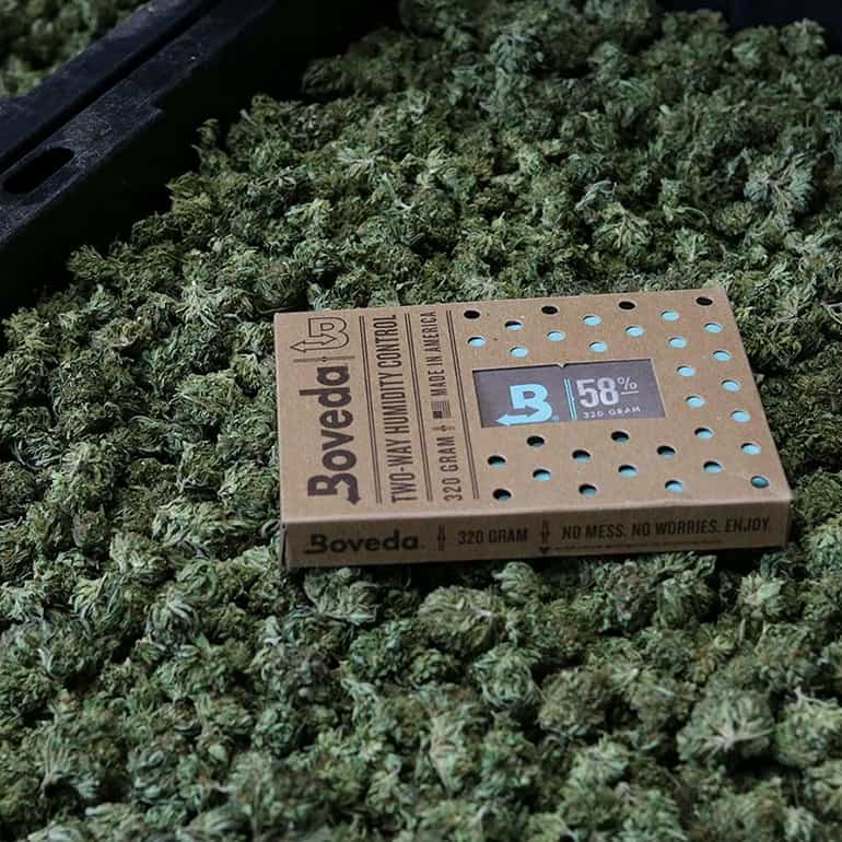 62-boveda-4-gramm-pack-uk