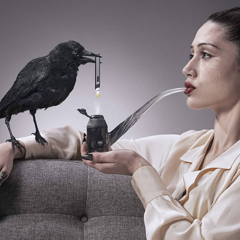Proxy Wizard Pipe Schwarze Frauen und Krähe