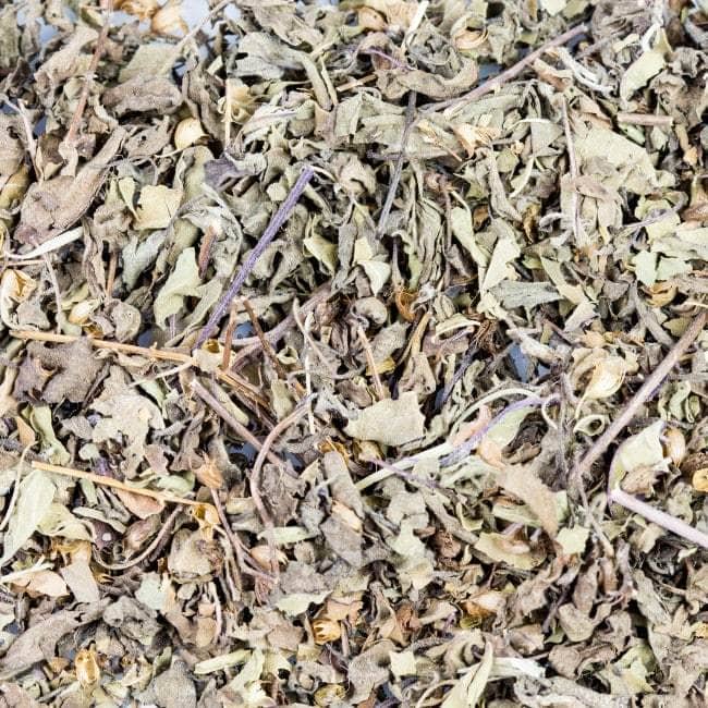 Heiliges Basilikum ORGANIC Irland