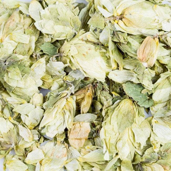 Hop Bio Organische Blüten -10g
