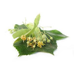 Lindenblüten BIO - 15g