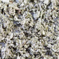 Bio-Salbei