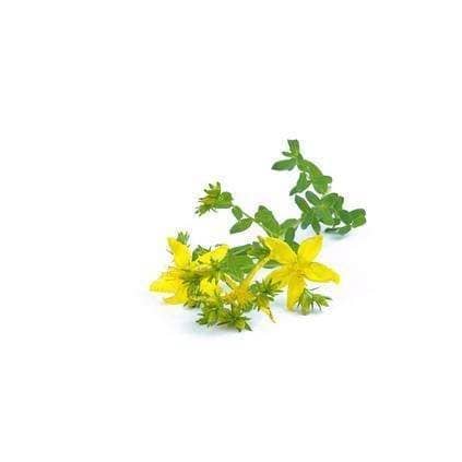 Organic St Johns Wort Bio 15g Ireland