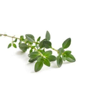 Bio-Thymian - 15g